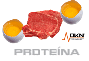 importancia proteinas
