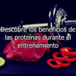 beneficios de las proteinas durante el entrenamiento